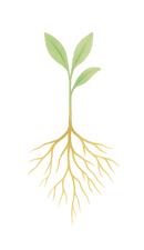 ChatGPT Image Dec 8, 2025 at Şeffaf.png