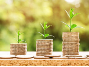 איך להשקיע נכון: לקרוא הרבה, ליצור סביבה תומכת, להיכנס בהדרגה ולא לפחד לטעות