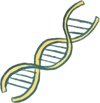 dna