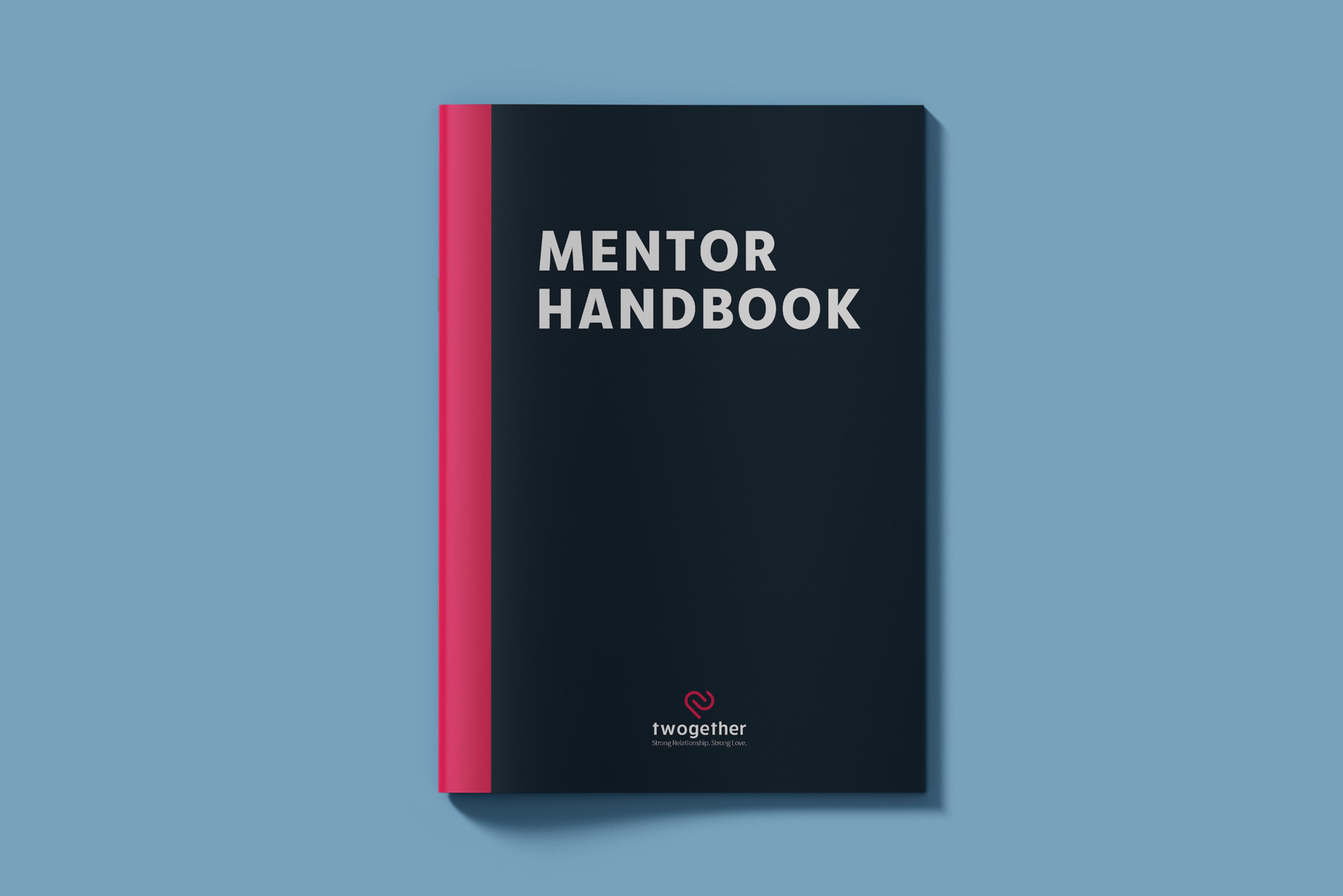 MENTOR-HANDBOOK (Englisch)