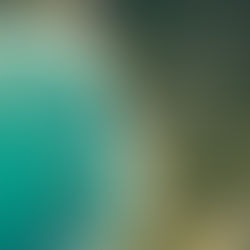 In search of paradise, treehouses, and culture