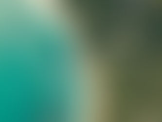 In search of paradise, treehouses, and culture