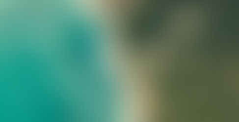 In search of paradise, treehouses, and culture