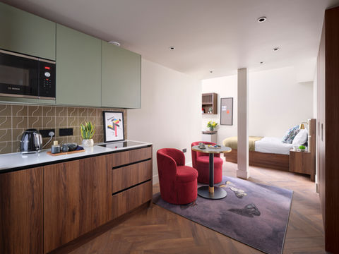 Modern studio apartment: kitchenette, seating area, and bedroom