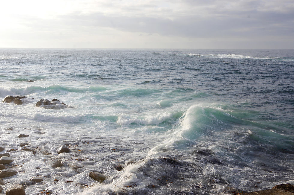 waves-5638587.jpg