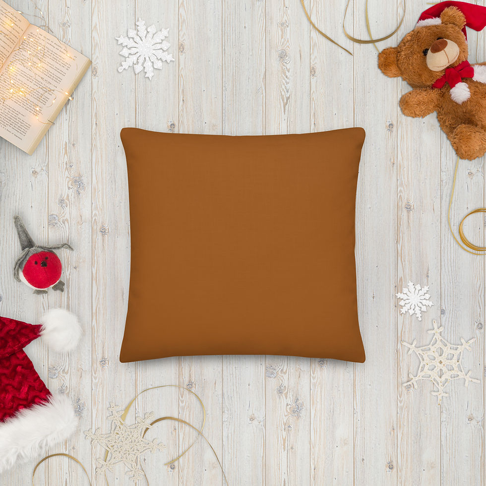Thumbnail: Aduni Terracotta Premium Pillow