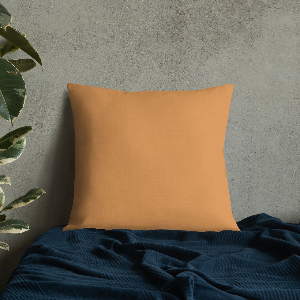 थंबनेल: Abebe Terracotta Premium Pillow