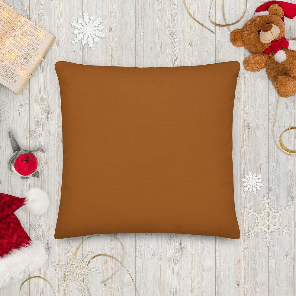 Thumbnail: Aduni Terracotta Premium Pillow