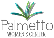 Palmetto Logo_Full Color_edited.webp