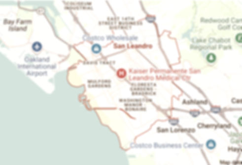 San Leandro_map_edited.jpg