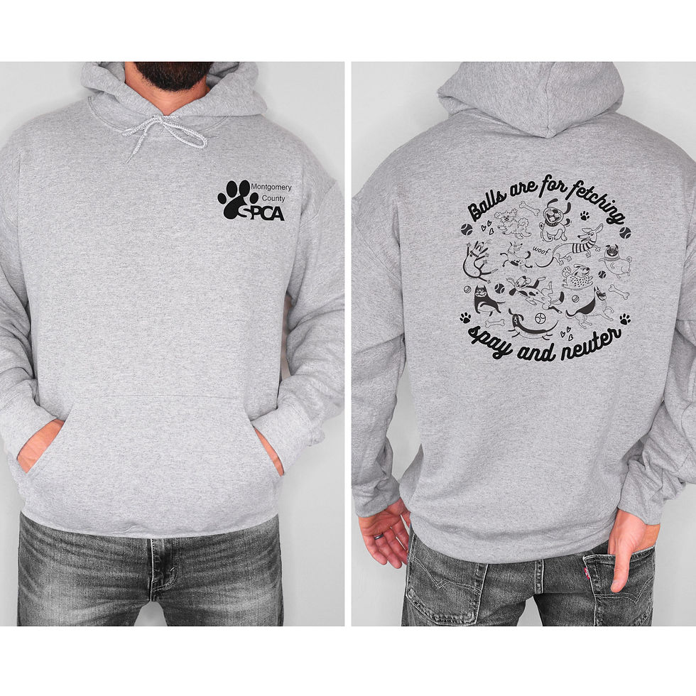 Thumbnail: MCSPCA Balls are for Fetching Hoodie