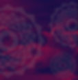 Fondo web Fluye productora artistica