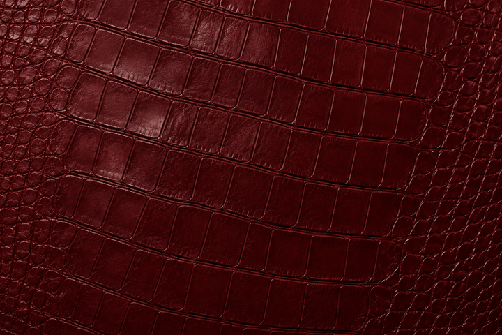 c8a50189-aaab-4e42-a038-9147542d5bfb.png