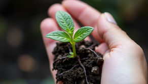 Are you helping or enabling? How to tell the difference....