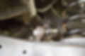 Thumbnail: eMMOTION Audi A3 / S3 (8V) Stage 2 Suspension Package