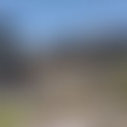 Lopsided Recovery Expected in Storm-Wrecked Rolling Fork