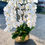Thumbnail: White Cascading Orchid Arrangement 