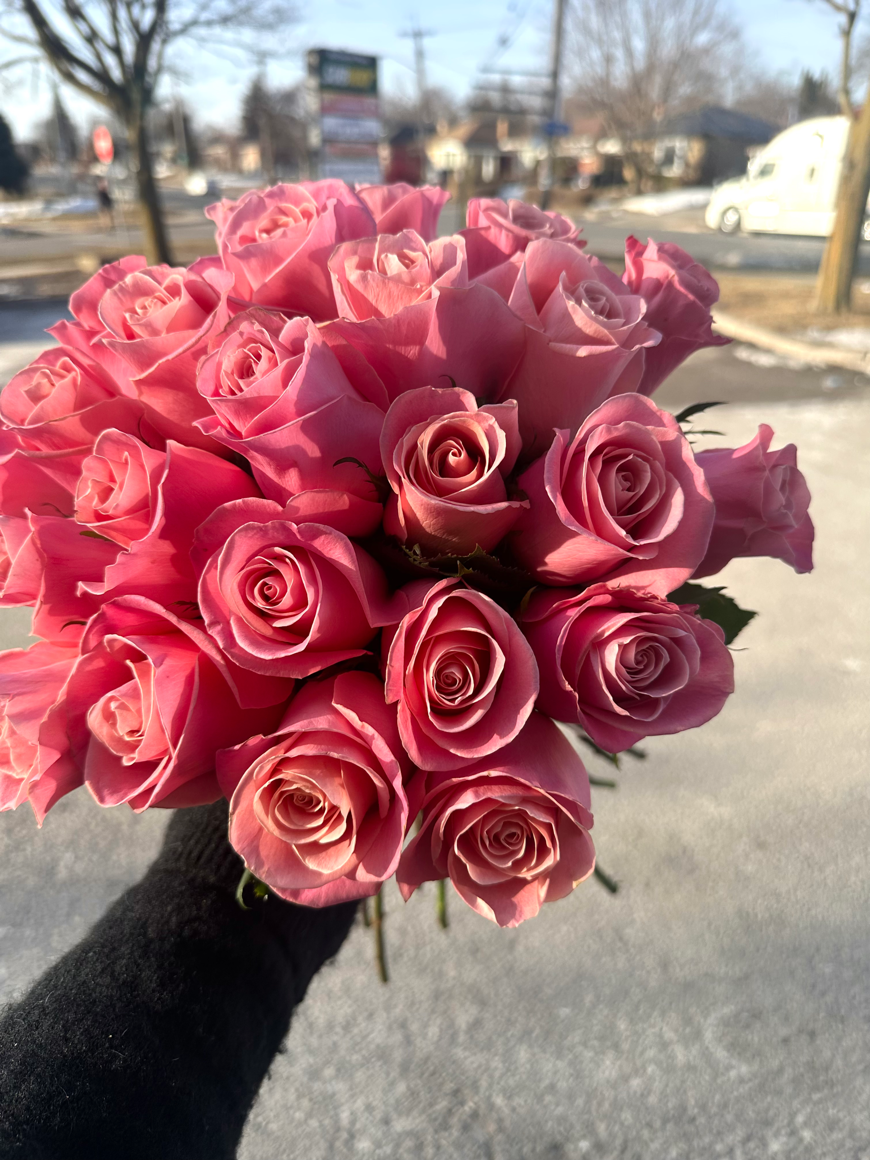 2 Dozen Hermosa Bunch 