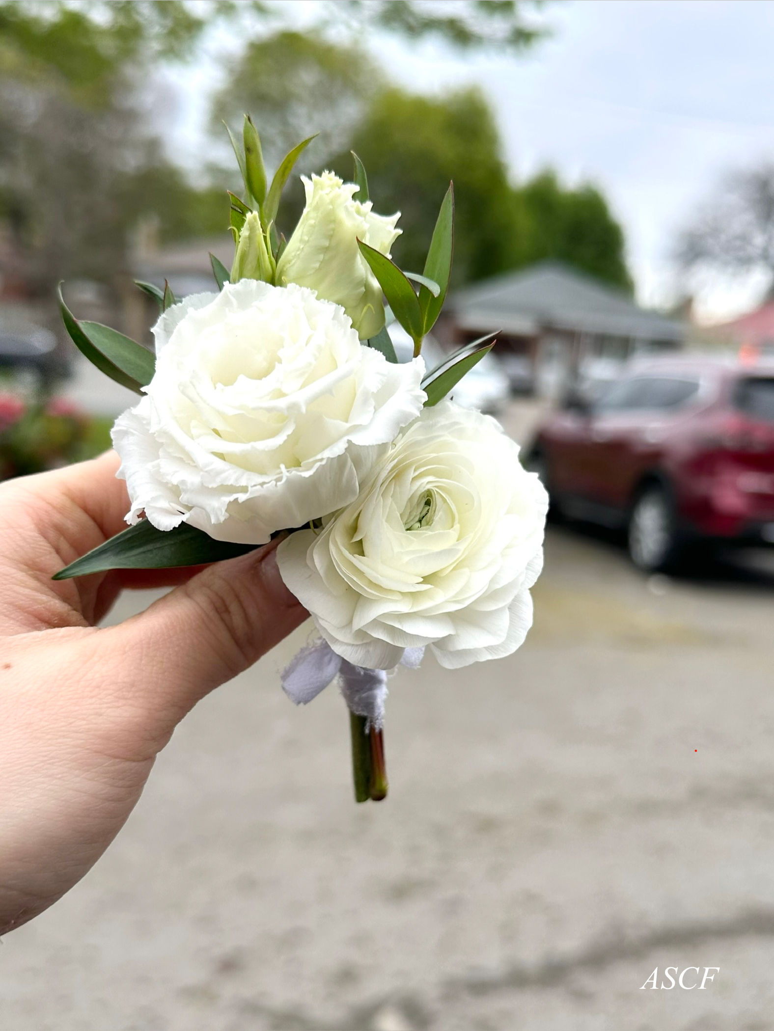 Ranunculus Lisi Boutonnière 