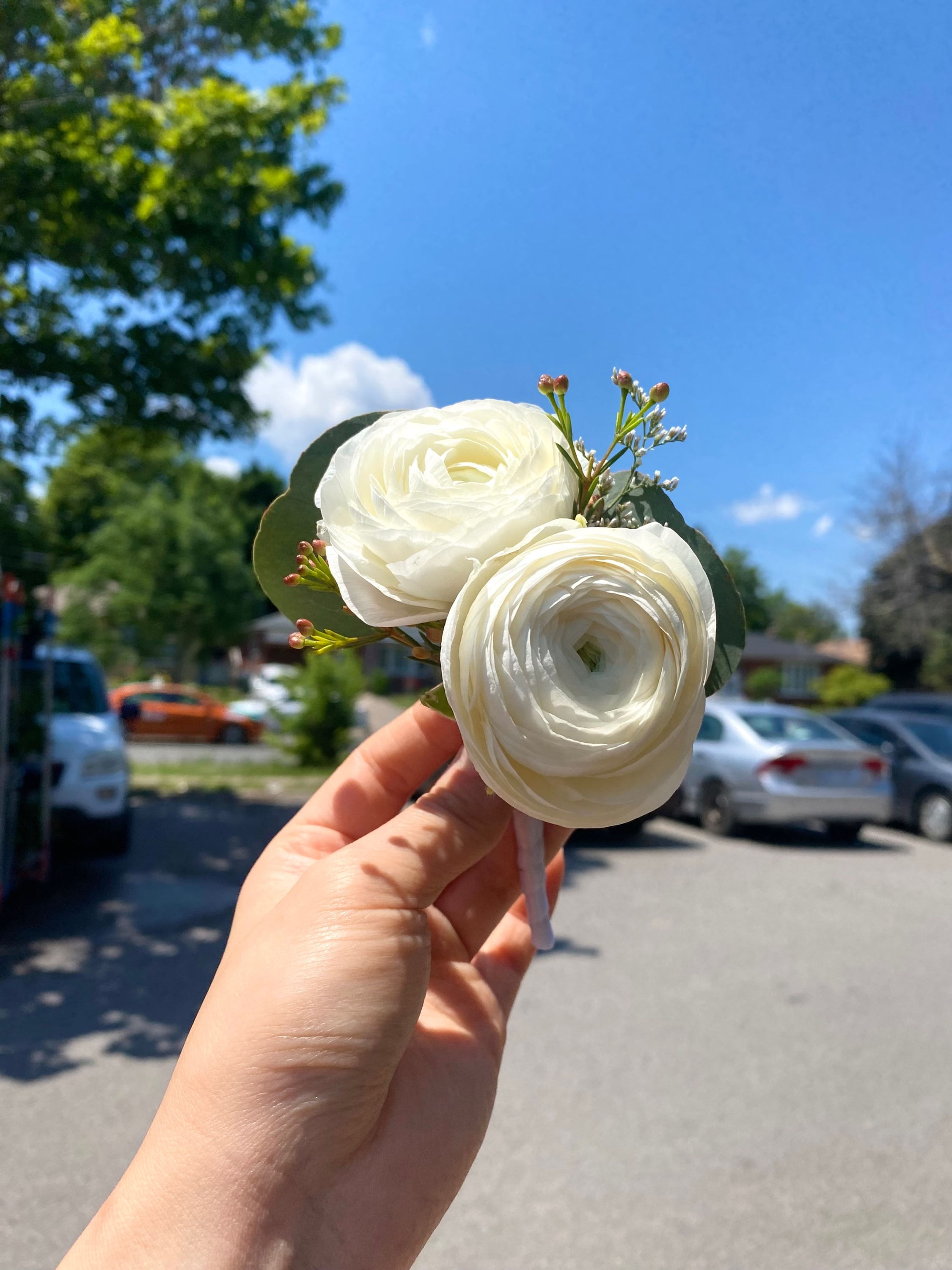Ranunculus Boutonnière 