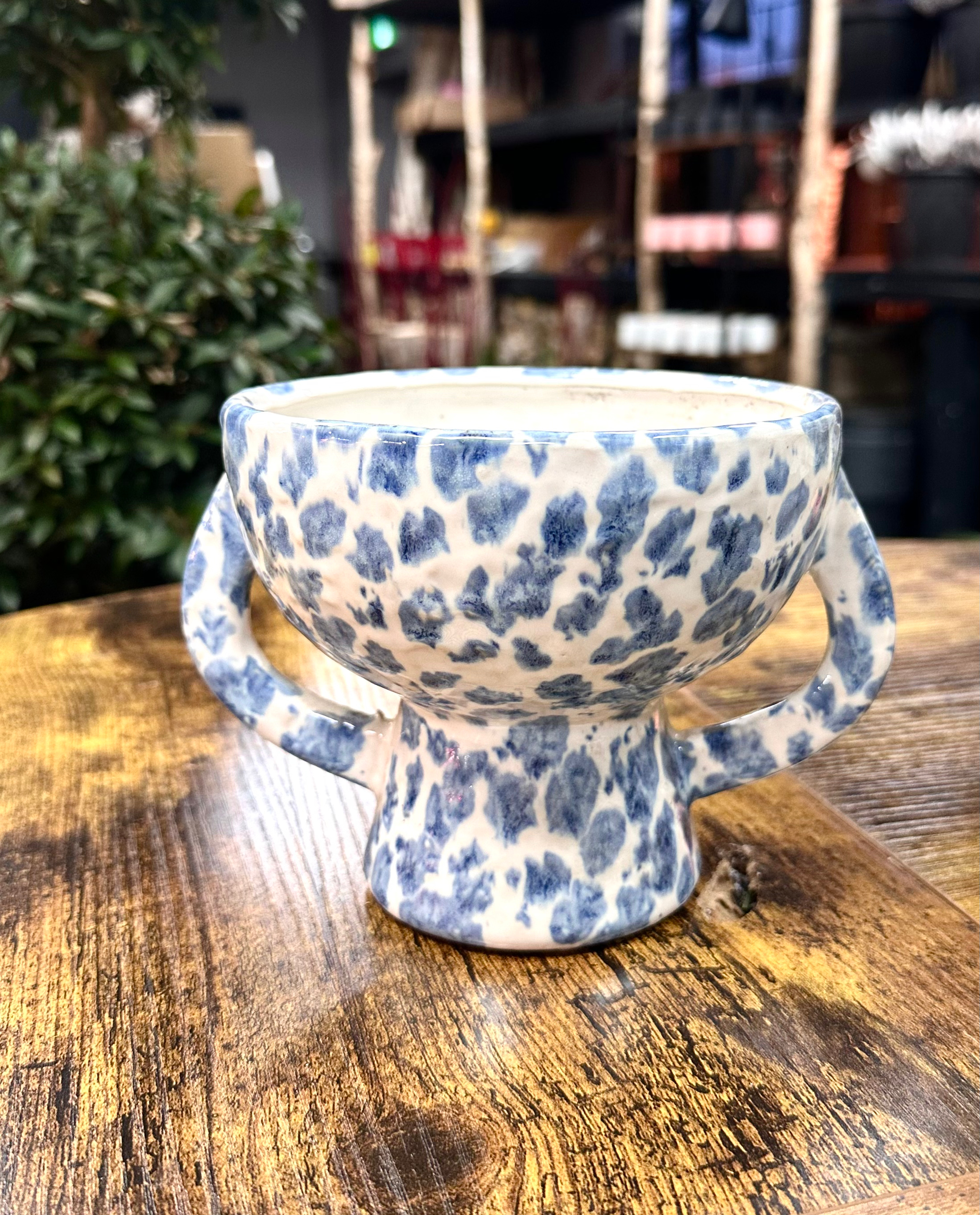 Decorative Ceramic Pot with Handles 