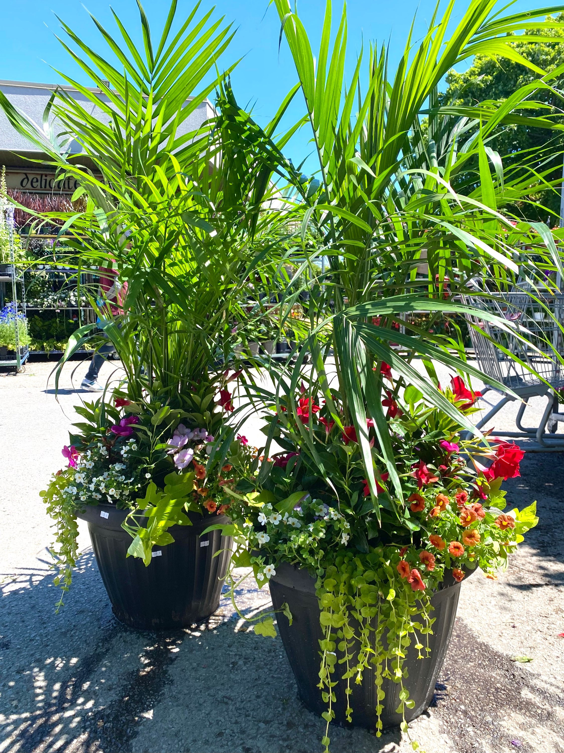 18” Palm Tree Tropical Planter 