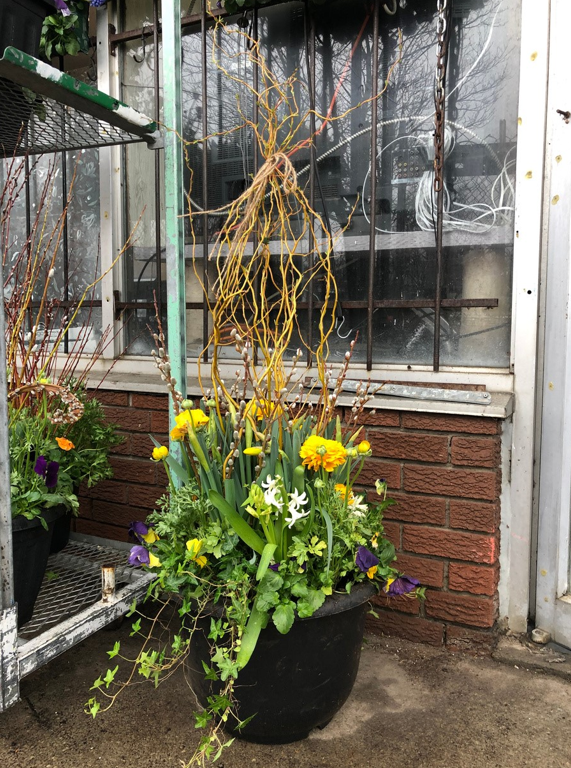 Thumbnail: 18" Spring Planter