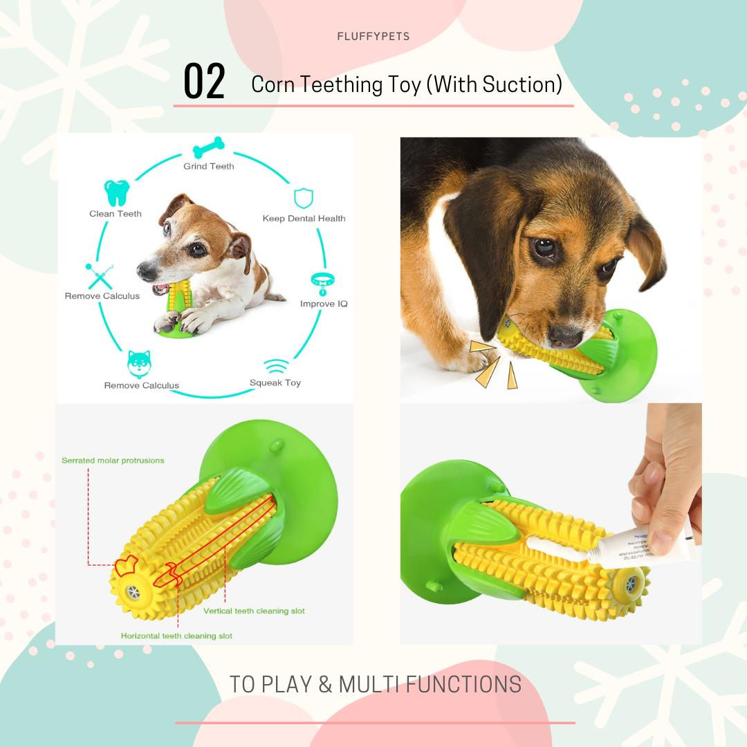 02 𝙲𝚘𝚛𝚗 𝚃𝚎𝚎𝚝𝚑𝚒𝚗𝚐 𝚃𝚘𝚢 𝚂𝚎𝚝 (𝚆𝚒𝚝𝚑 𝚂𝚞𝚌𝚝𝚒𝚘𝚗)