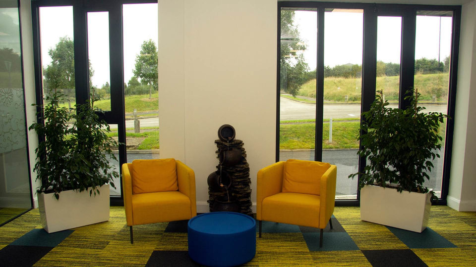 Two yellow chairs and a blue ottoman against a window with plants.