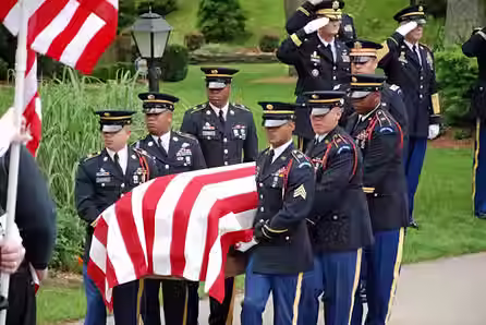 veteran