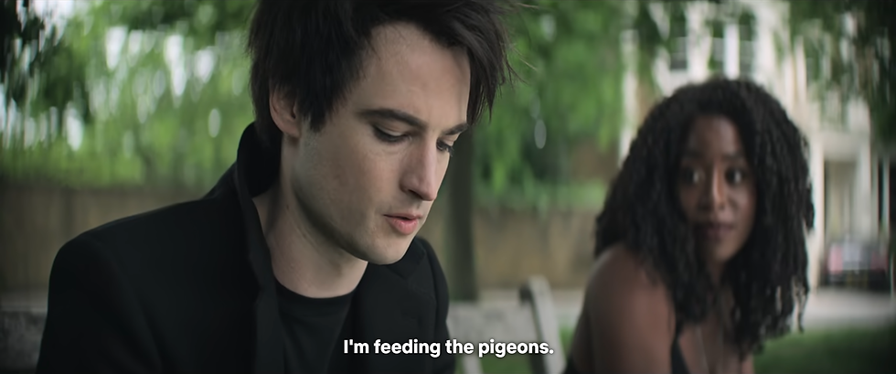 Dream is feeding the pigeons