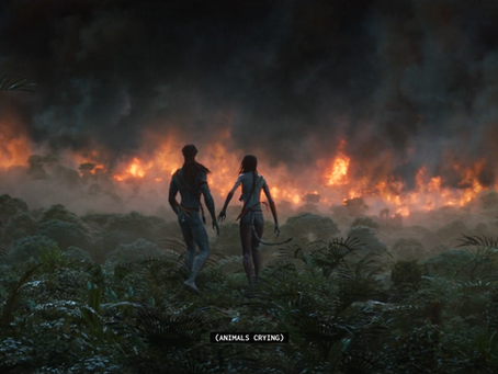 Avatar: The way of Water, what does a war hero do without a war?