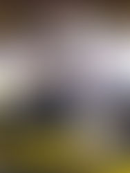 ITD [PL] - Rozdział 12.3: Ramię w ramię