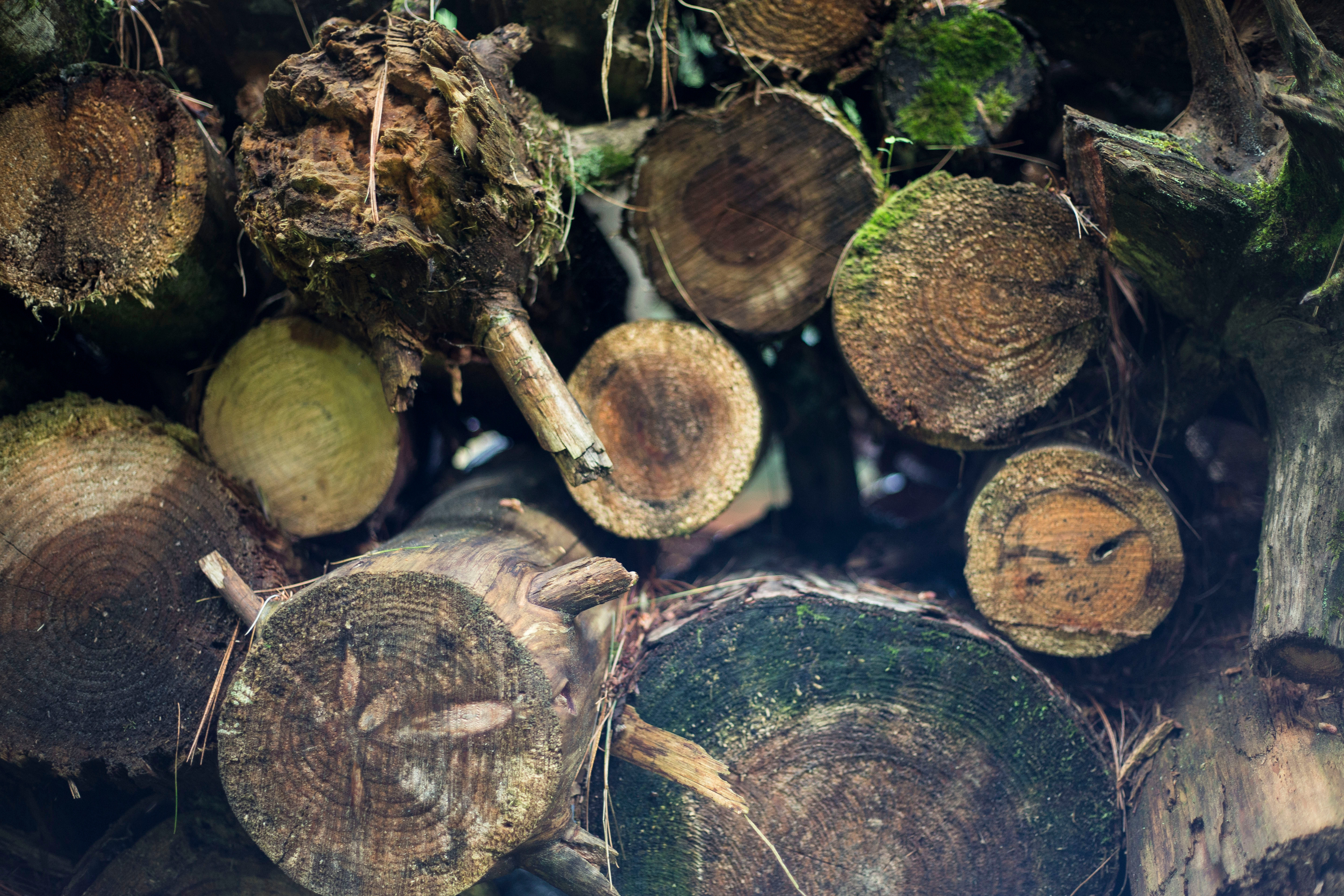 Swanton Logs