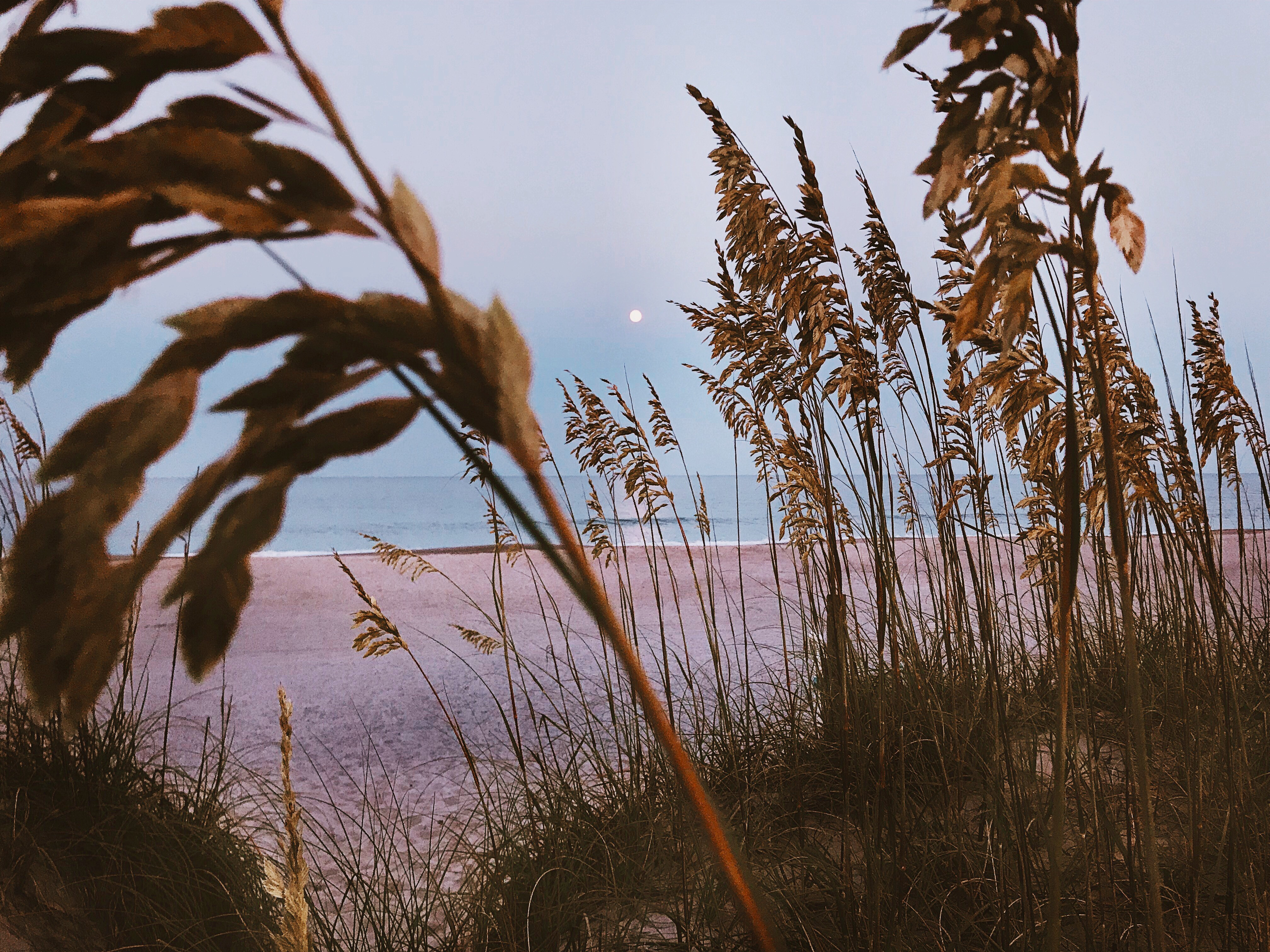 Kure Beach