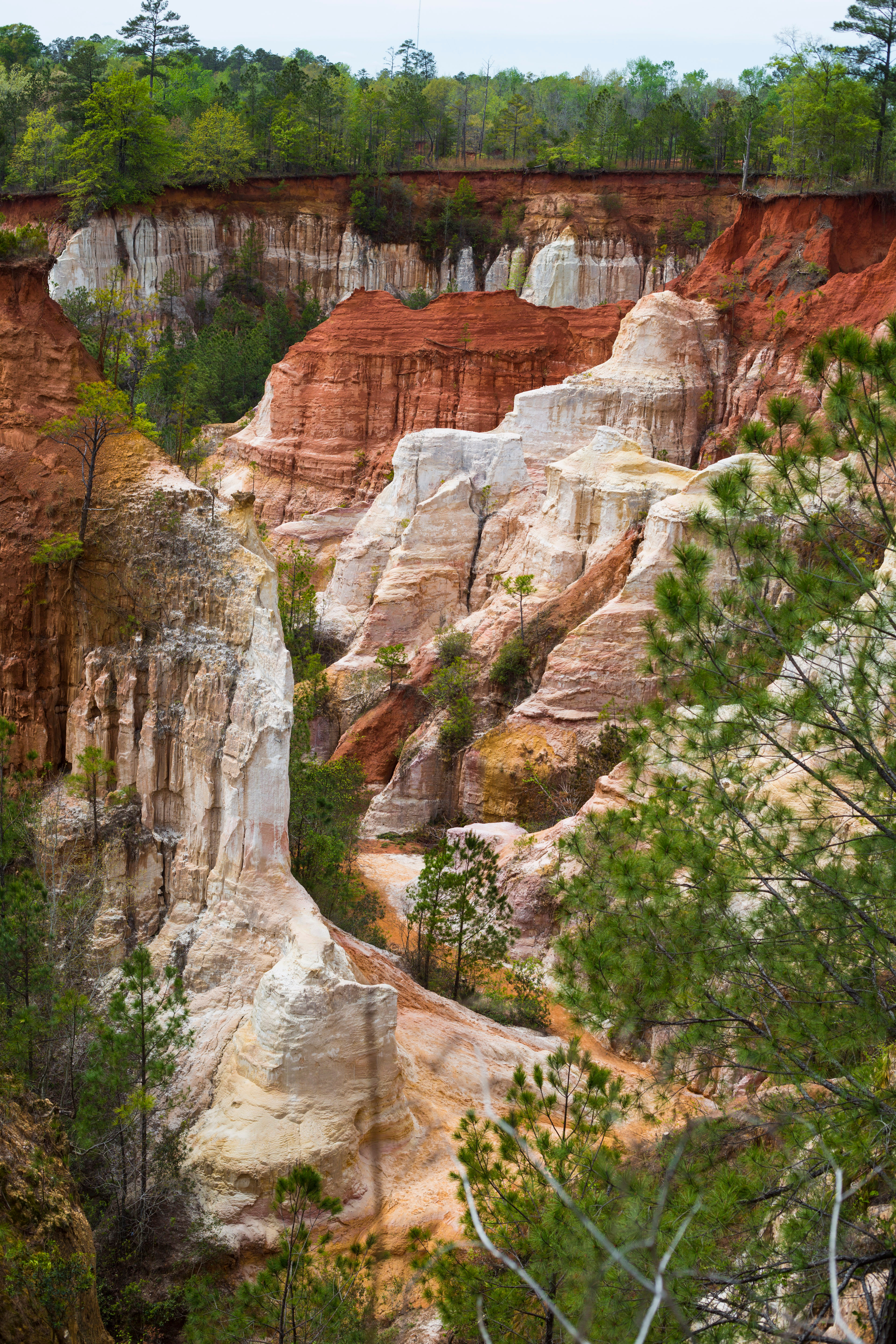 Providence Canyon