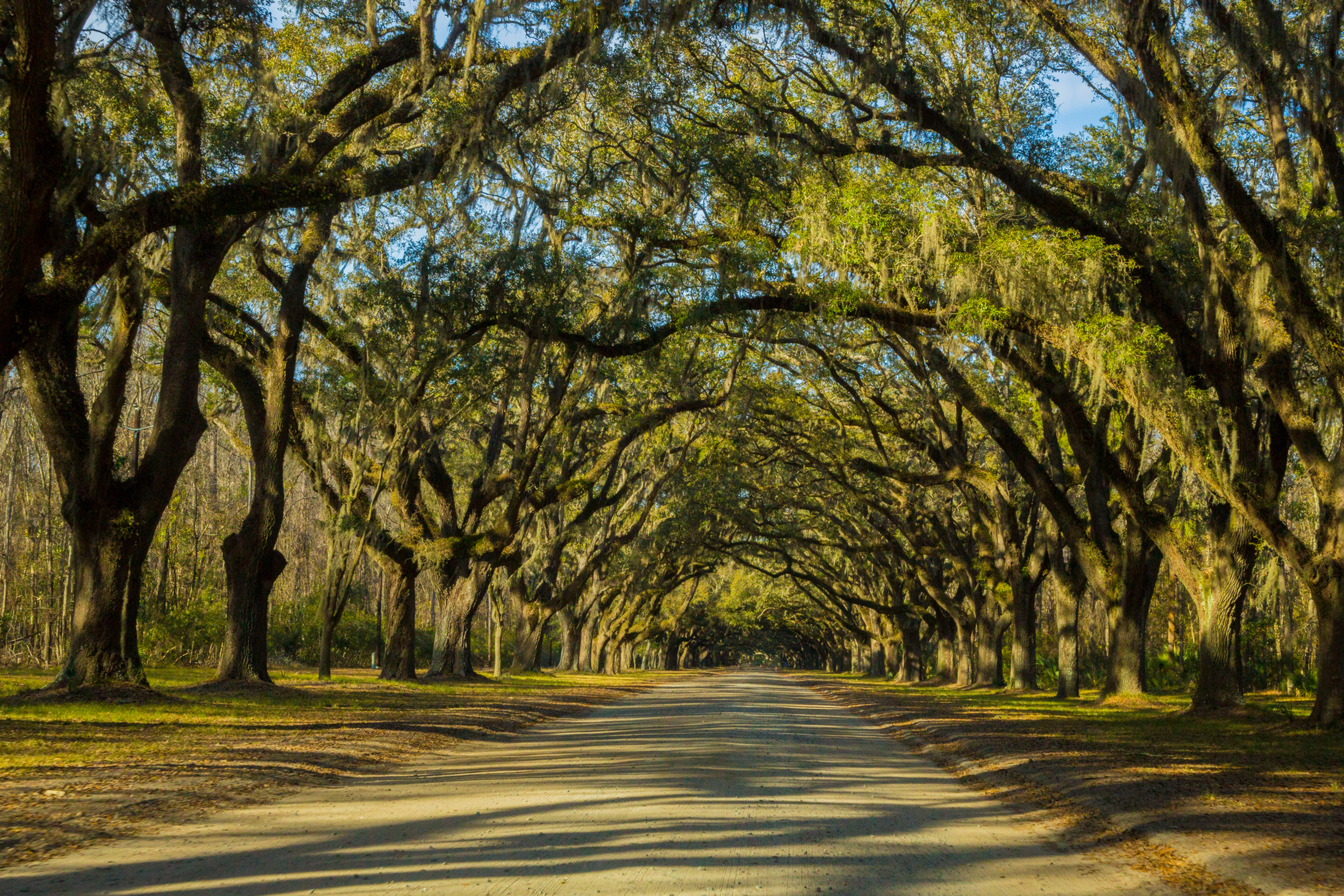 Charleston Road