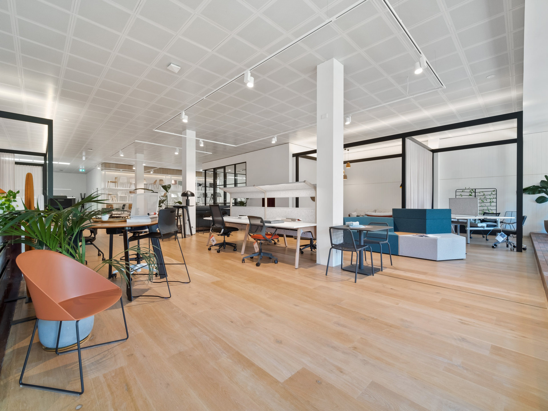 Internal Office, First Floor