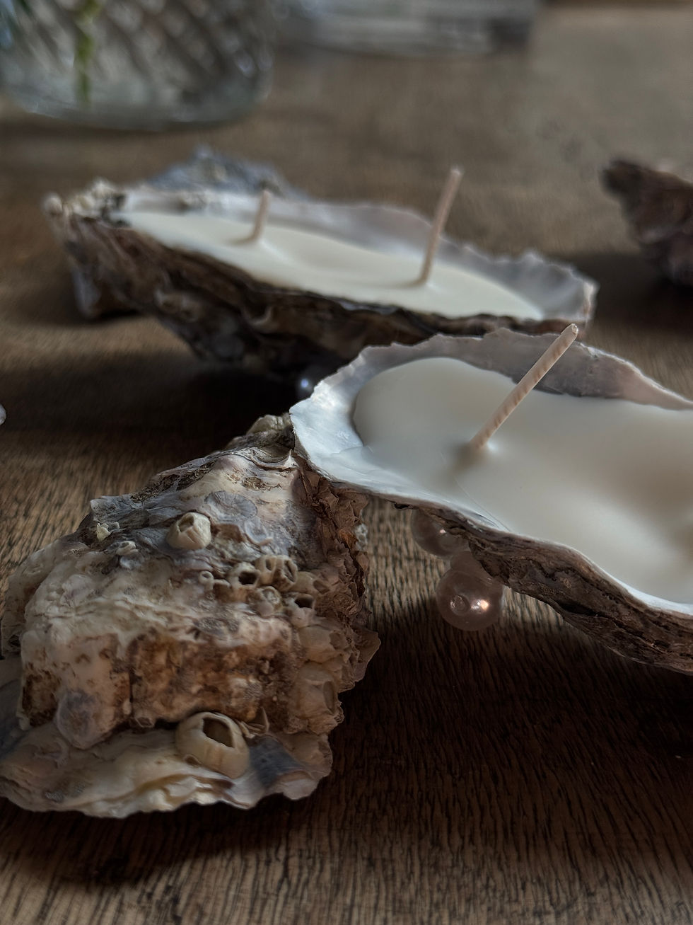Miniaturbild: Oyster Glow – Handgefertigte Muschelkerze von Sylt
