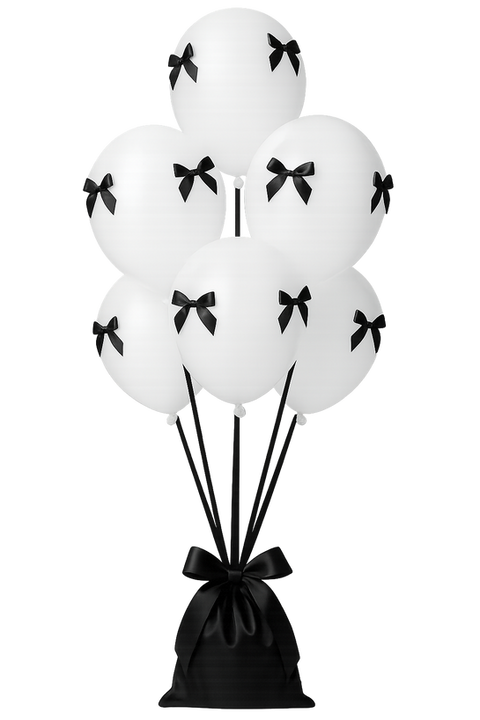 Balloon bouquet in black and white colors for picnic celebration. Charlevoix, Michigan
