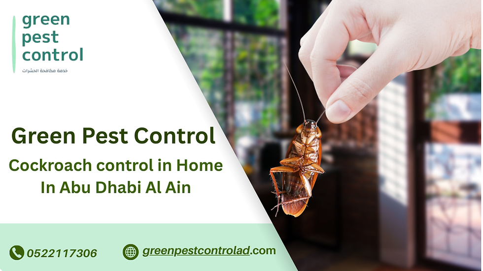 Cockroach control in Home In Abu Dhabi Al Ain