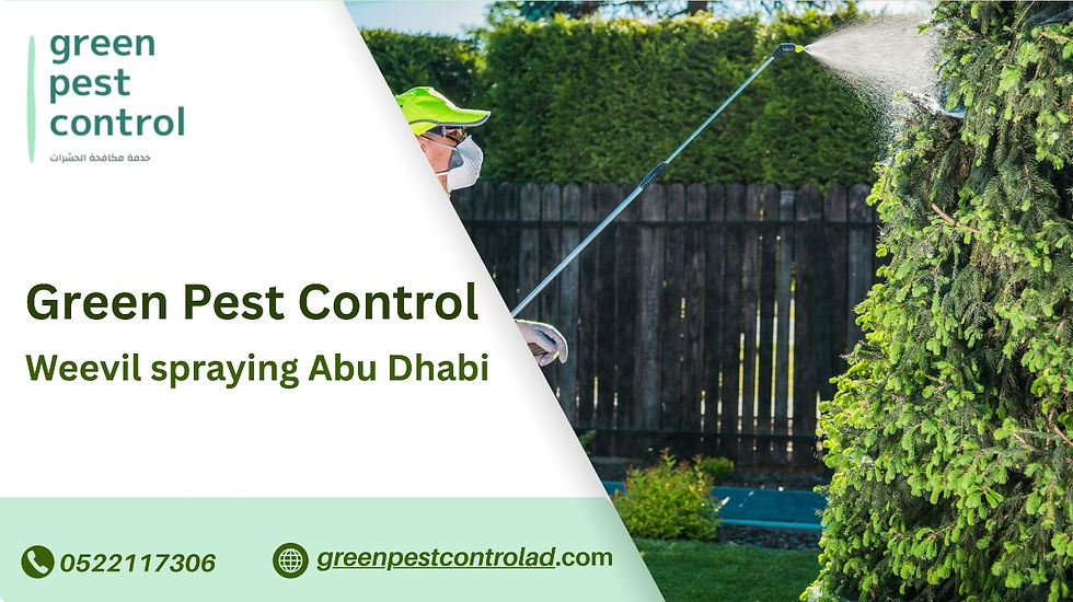 Weevil spraying Abu Dhabi