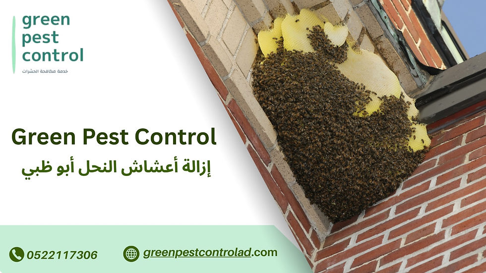 إزالة أعشاش النحل أبو ظبي