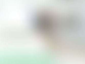 مكافحة السحالي أبو ظبي