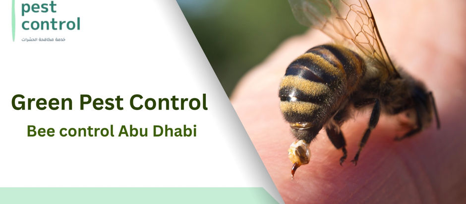 Bee control Abu Dhabi
