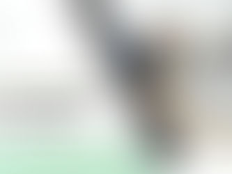 مكافحة حشرات المطبخ الطائرة أبو ظبي