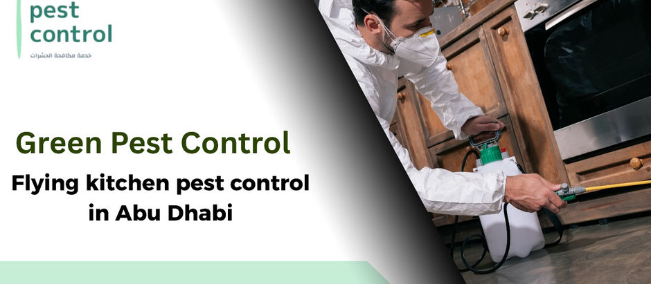 Flying kitchen pest control in Abu Dhabi