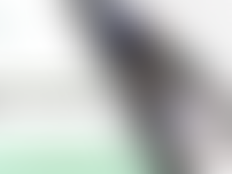 مكافحة بق الفراش في أبوظبي