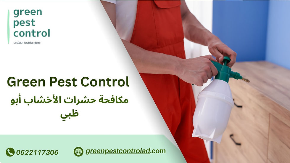 مكافحة حشرات الأخشاب أبو ظبي