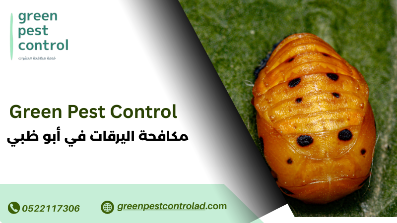 مكافحة اليرقات في أبو ظبي